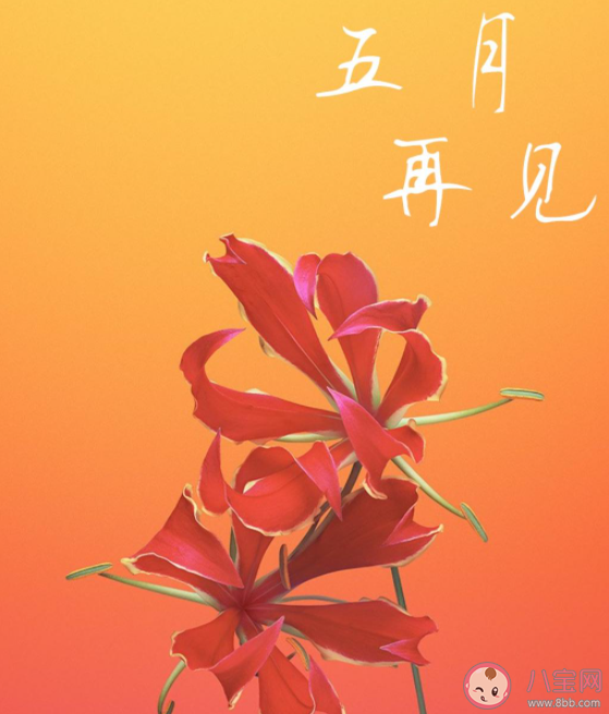 2021五月再见六月你好发朋友圈文案说说 2021再见五月迎接六月的朋友圈句子 2021五月再见六月你好发朋友圈文案说说 2021再见五月迎接六月的朋友圈句子