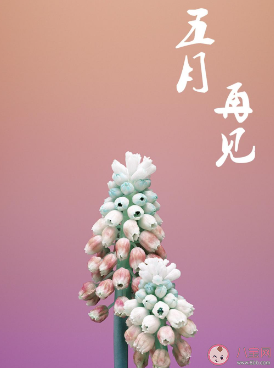 2021五月再见六月你好发朋友圈文案说说 2021再见五月迎接六月的朋友圈句子 2021五月再见六月你好发朋友圈文案说说 2021再见五月迎接六月的朋友圈句子