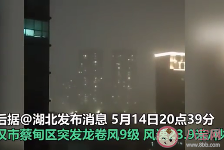 武汉9级龙卷风多人受伤是怎么回事 遭遇龙卷风该怎么办