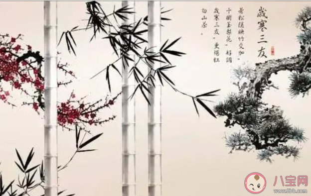 下列哪种植物可以出现在《岁寒三友图》画里 蚂蚁庄园今日5月18日答案
