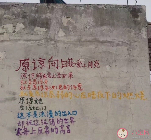 国际不再恐同日温柔说说语录 国际不再恐同日祝福语句子