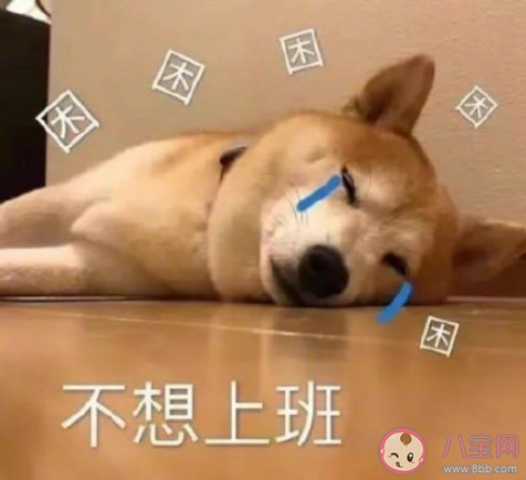 上班过敏是什么意思 如何应对上班过敏