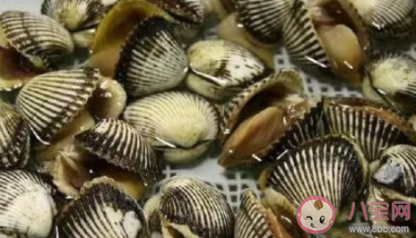 唐山提醒近期不要食用野生毛蚶海虹 赤潮对野生毛蚶海虹有什么影响