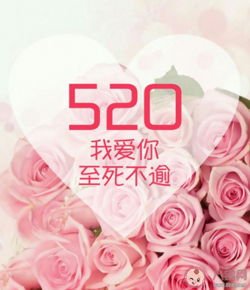 520一个人过的心情说说 520一个人过的心情句子