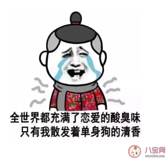 520单身搞笑朋友圈文案句子 520搞笑幽默的说说配图