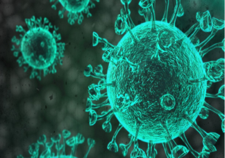 新研究发现冠状病毒致命弱点 核糖体和移码机制是什么意思