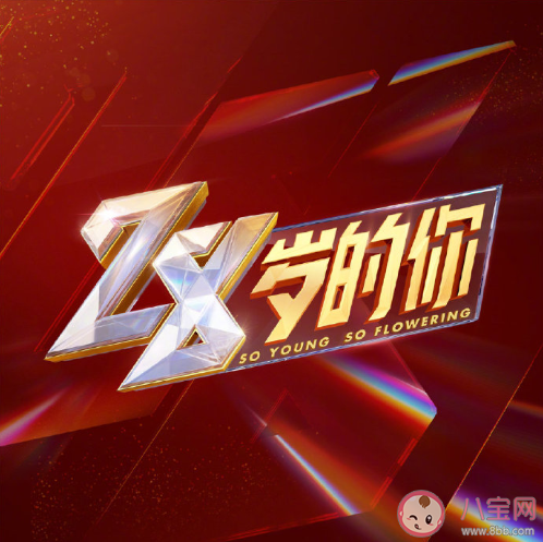 王一博28岁的你主题曲《青春的模样》歌词是什么 完整版歌词内容介绍