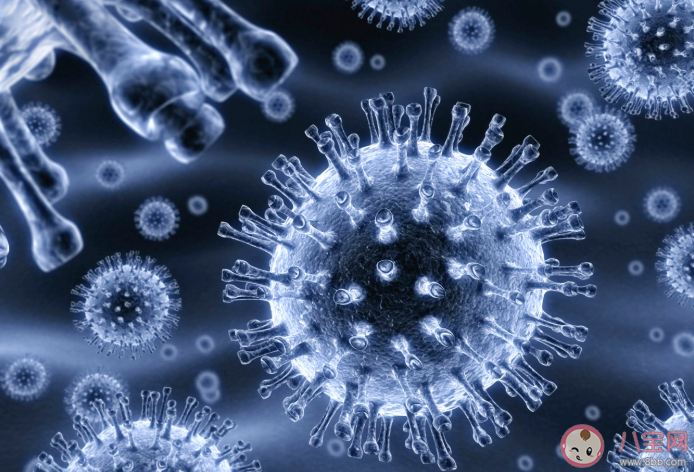 钟南山说中国需尽快建立群体免疫 如何防范全球大流行