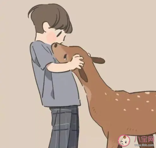 爱情有紫色红色蓝色白色四种颜色是什么歌 《恋爱画板》完整版歌词在线听歌