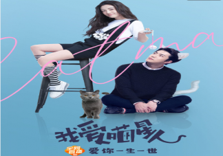 《我爱喵星人》为什么看不了下架了 《我爱喵星人》什么时候再上线