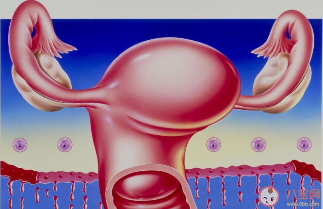 做了子宫切除术绝经会提前吗 子宫切除术切除的是哪些地方