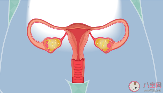 做了子宫切除术绝经会提前吗 子宫切除术切除的是哪些地方