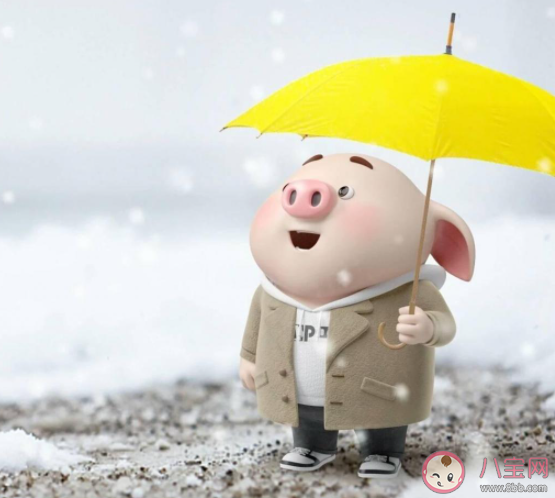 数不完的阴晴换圆缺是什么歌 《半生雪》完整版歌词在线听歌