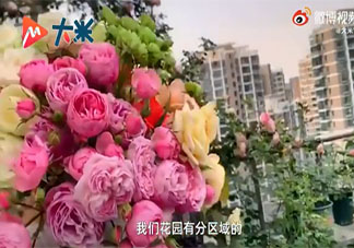 丈夫给妻子种出一个月季花园 月季花是几月份开放的