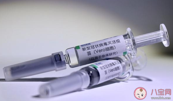 单针和两针接种新冠疫苗有何区别 单针和两针的效果和不良反应对比