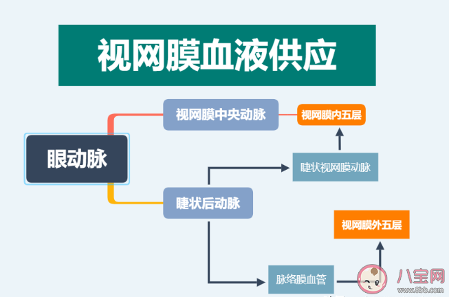 蚂蚁庄园眼睛也会中风吗 5月25日答案