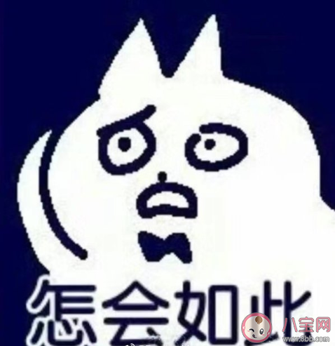 癫猫蜻蜓是什么梗 癫猫蜻蜓是什么意思