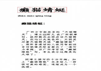 癫猫蜻蜓是什么梗 癫猫蜻蜓是什么意思