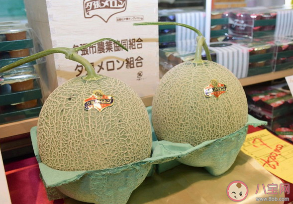 日本两个蜜瓜拍出16万是什么情况 夕张蜜瓜为什么卖这么贵
