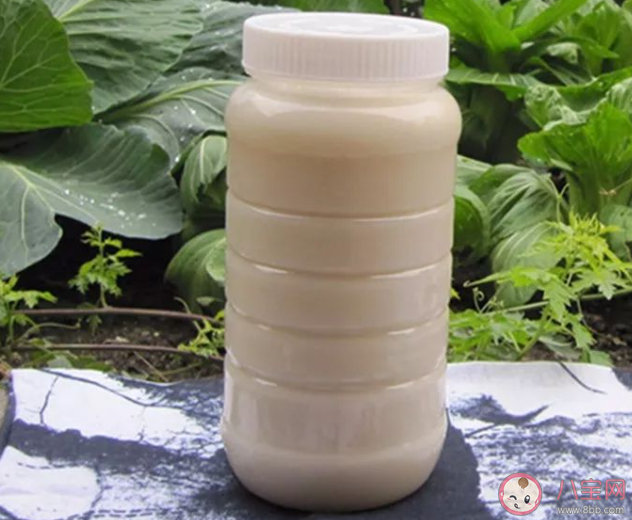 液体蜂蜜遇到天气转冷容易出现结晶是坏了吗 蚂蚁庄园5月27日答案