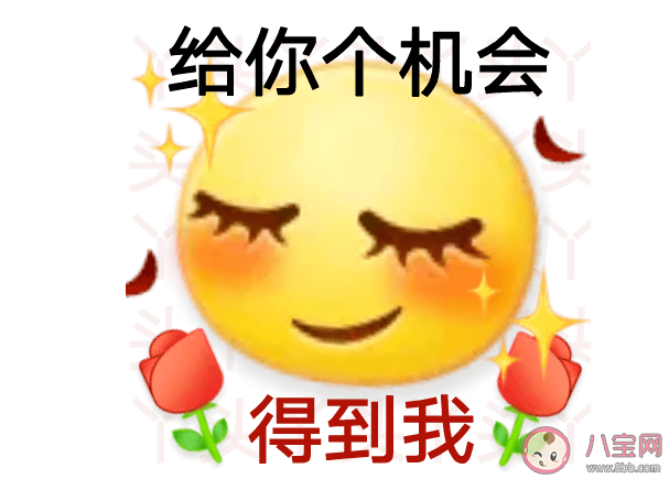 丫头文学是什么意思什么梗 丫头文学经典语录句子分享
