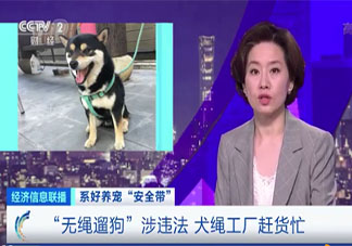 犬绳销量暴增是什么原因 遛狗栓绳有多重要
