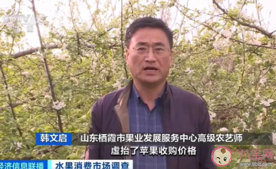 卖1斤亏1元苹果价格大跌滞销 苹果为什么降价滞销了
