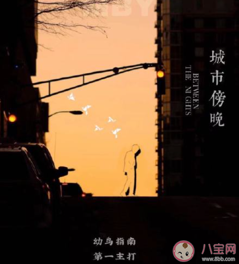 毛不易新专辑《幼鸟指南》有几首歌 《幼鸟指南》专辑歌曲介绍 毛不易新专辑《幼鸟指南》有几首歌 《幼鸟指南》专辑歌曲介绍