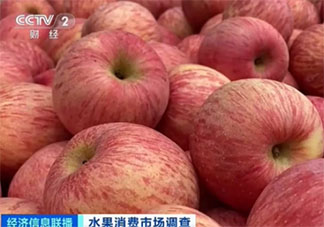 卖1斤亏1元苹果价格大跌滞销 苹果为什么降价滞销了