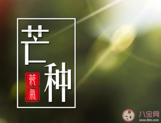 2021芒种节气图片早安心语说说 2021芒种节气早安句子带图