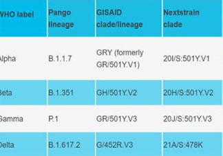 世卫用希腊字母命名新冠病毒变异株 越南变异毒株混合体有多厉害