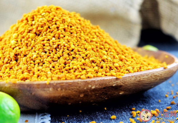 蜂花粉怎么吃比较好 蜂花粉有哪些好处 蜂花粉怎么吃比较好 蜂花粉有哪些好处