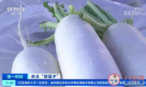 蔬菜价格下降是什么原因 大白菜和圆白菜接近成本价了吗