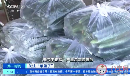 蔬菜价格下降是什么原因 大白菜和圆白菜接近成本价了吗