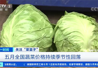 蔬菜价格下降是什么原因 大白菜和圆白菜接近成本价了吗