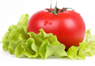 西红柿生吃和熟吃哪种营养更好 未成熟的发青西红柿可以生吃吗