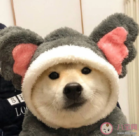 会因为家境而害怕谈恋爱吗 谈恋爱要考虑家境吗