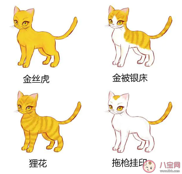 猫咪在古代的名字叫什么 古代猫咪的雅称