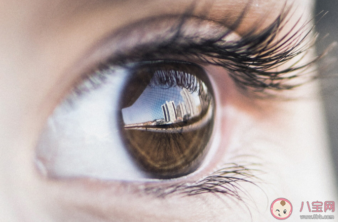 蚂蚁庄园6月10日问题答案:只有老年人才会得白内障吗 蚂蚁庄园6月10日问题答案:只有老年人才会得白内障吗