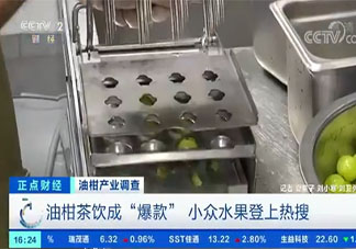 油柑价格飙涨数十倍是怎么回事 小众水果油柑为什么火了