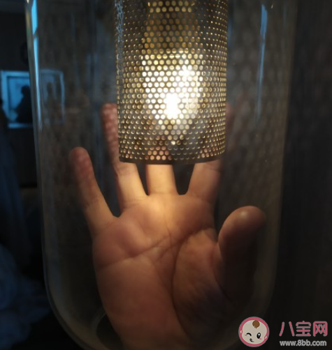 你知道最冷的冷知识是什么 生活中的冷知识分享
