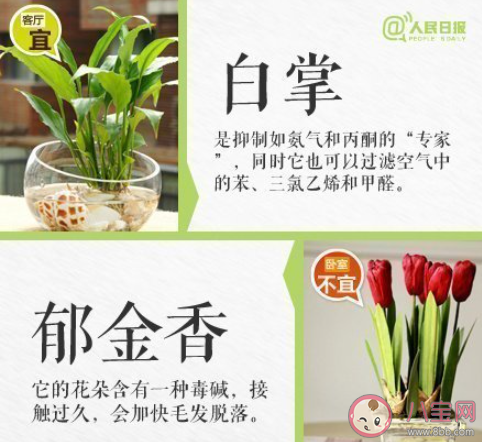你知道最冷的冷知识是什么 生活中的冷知识分享