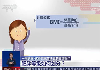 肥胖等级如何划分 夏天如何避免长胖