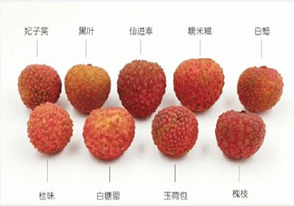你知道最冷的冷知识是什么 生活中的冷知识分享