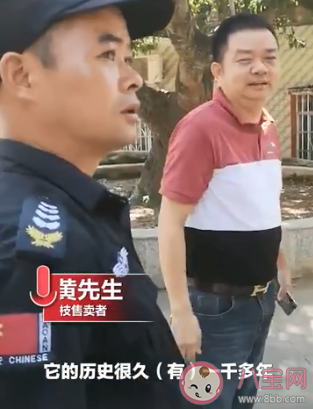 广西古树荔枝888元一斤 哪些品种的荔枝比较贵