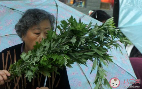 端午前后为祈求安康人们会在自家门楣上悬挂 蚂蚁庄园6月13日答案
