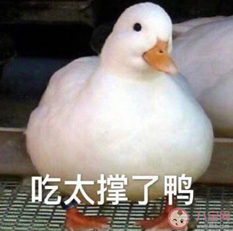 爱发朋友圈是一种炫耀吗 如何看待爱发朋友圈的行为