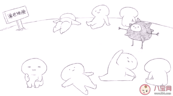 当新冠疫苗进入体内之后会发生什么 接种新冠疫苗后一定能产生抗体吗