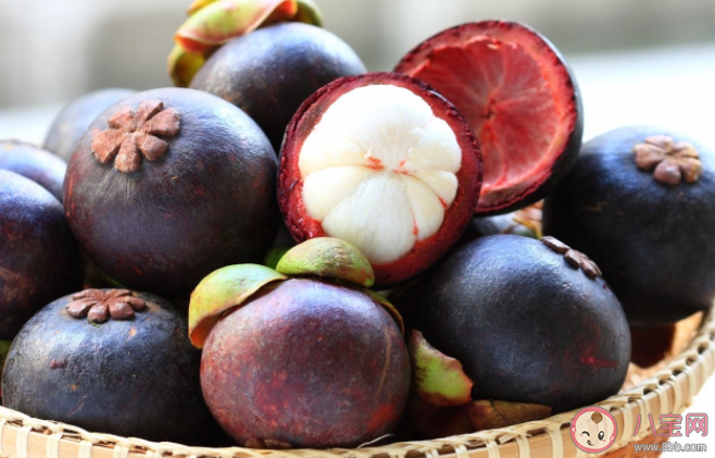 适合孩子夏季吃的应季水果汇总 怎么放心给孩子吃水果 适合孩子夏季吃的应季水果汇总 怎么放心给孩子吃水果