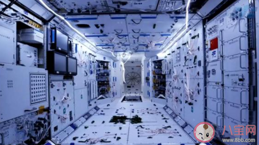航天员在太空如何洗澡如何锻炼 航天员可以带什么上天